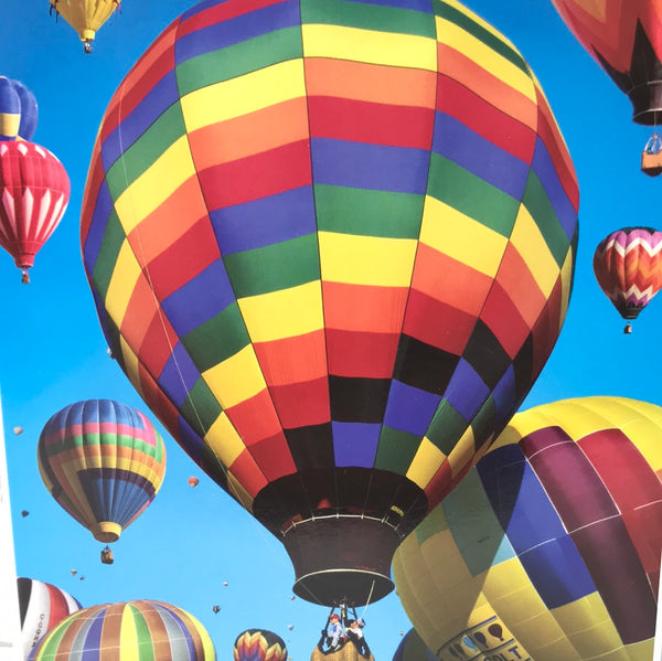 OPEN BOX UNCOUNTED PUZZLE: 1000 PC Puzzlebug Hot Air Balloons