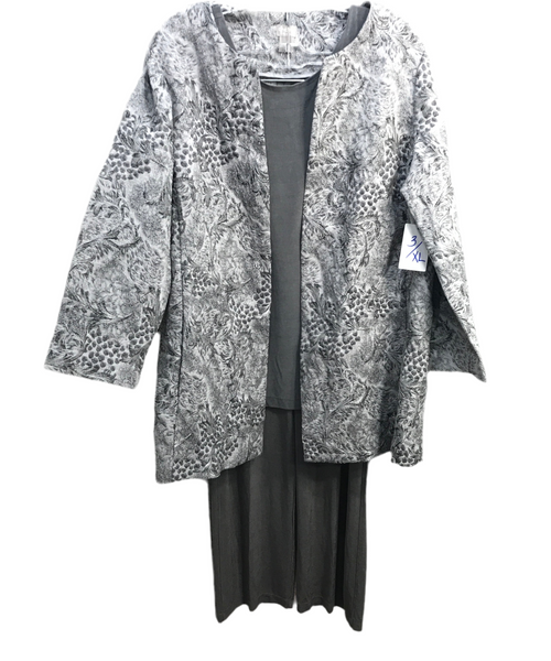 Chico's 3 PC Outfit Metallic Silver Travelers Pants & Tank Top with Beautiful Silver Dress Jacket PERFECT NEW YEARS OUTFIT! Ladies 3