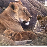 OPEN BOX UNCOUNTED PUZZLE: 1500 PC Regal Family Pride