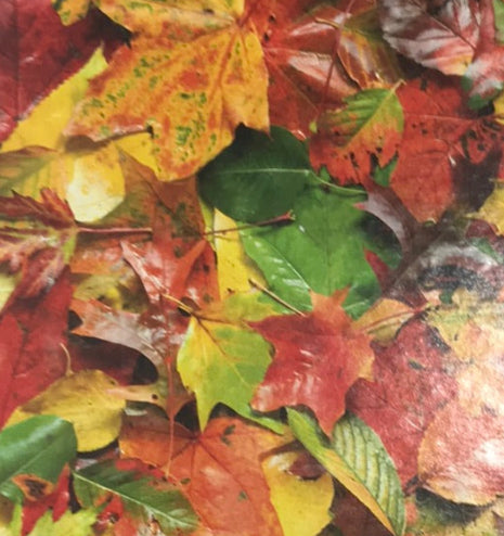 uncounted puzzle 1000 pc big ben Fall Leaves